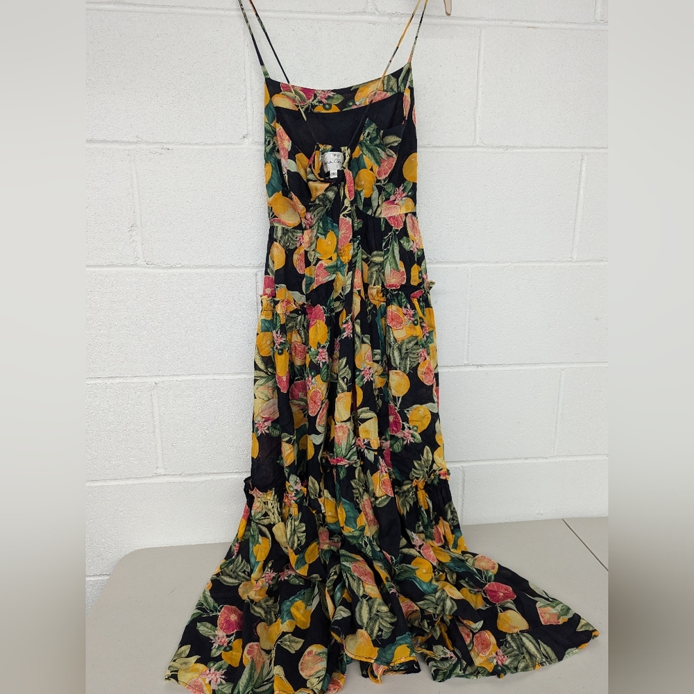 RTR Sz M Cara Cara New York Harbour Island Dress oranges grapefruit fruit midi - Picture 6 of 11